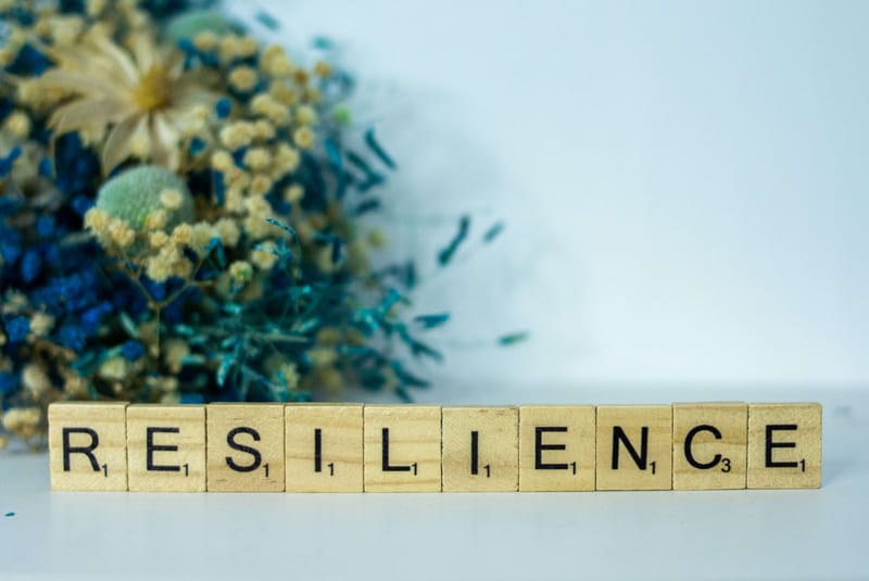 Customer experience in times of crisis: Resilience, resolution, and reputation management