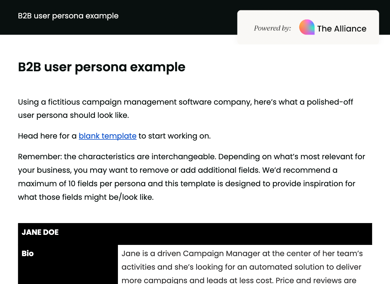 B2B user persona example