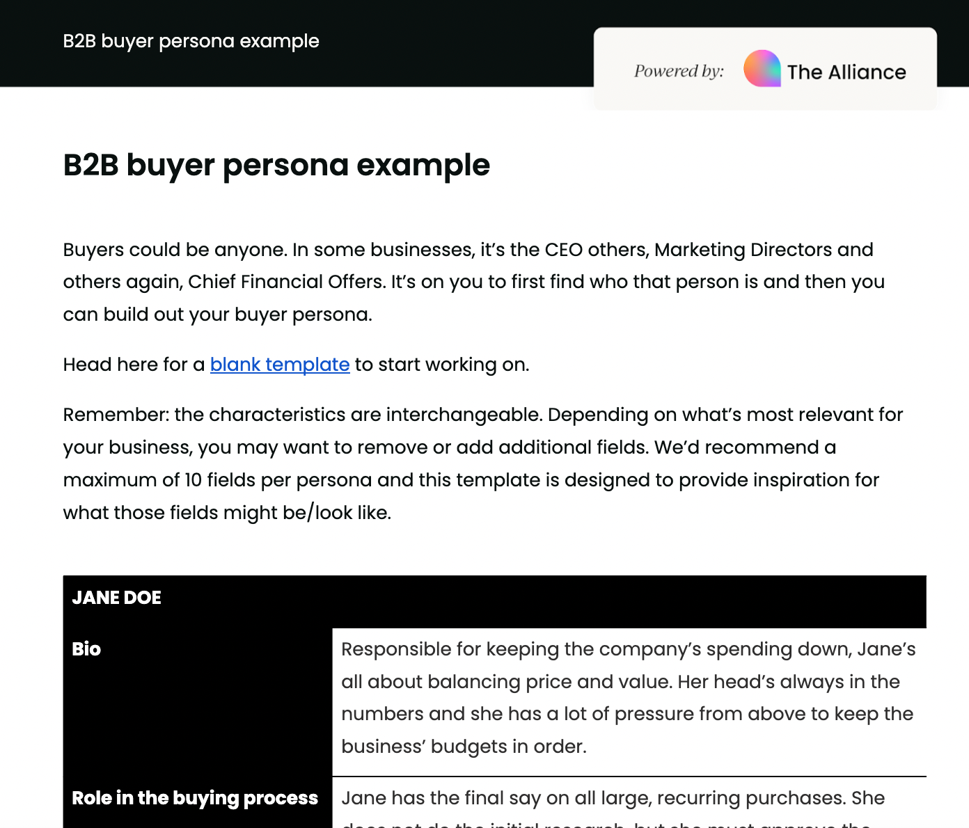 B2B buyer persona example