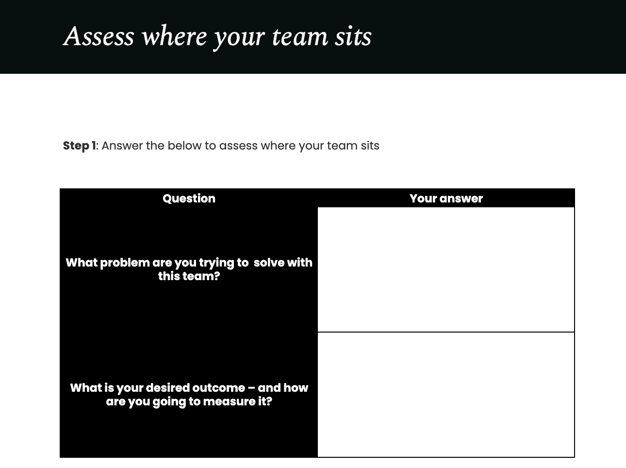 Assess where your team sits template.png