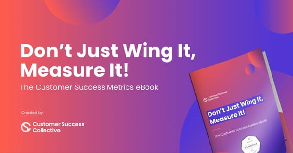 The Customer Success Metrics eBook